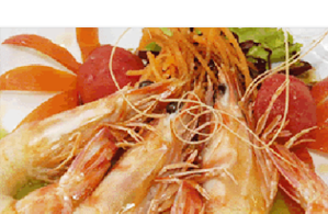 Vacanze Toscana RISTORAZIONE & BAR